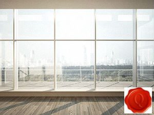 Professional Window Cleaning
